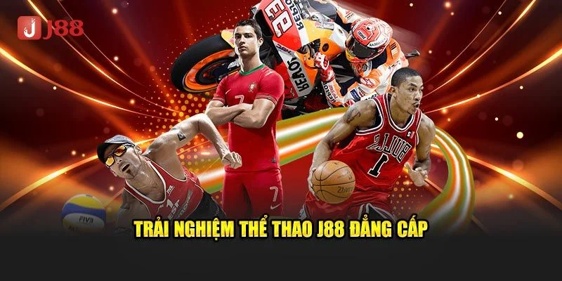 Các bộ môn thể thao phong phú mang đến nhiều lựa chọn cho người chơi.